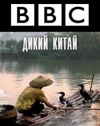 BBC:  